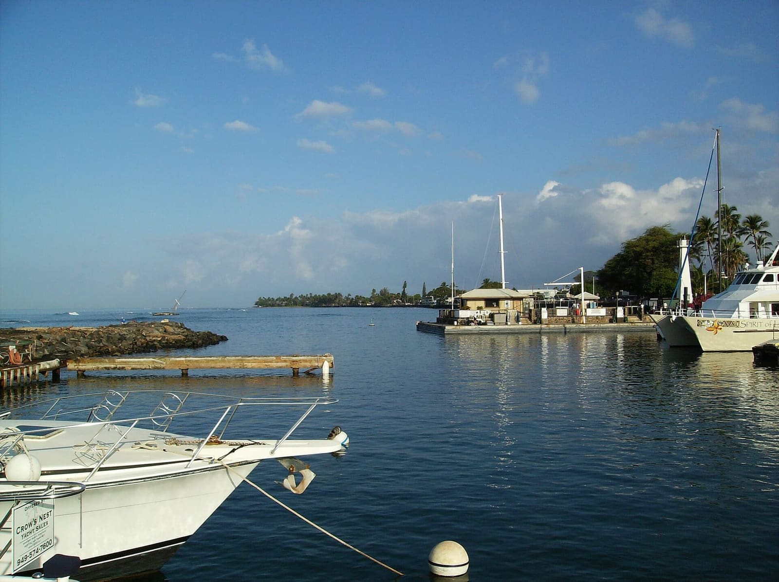 Lahaina Harbor: boats leave from here, helicopters do not