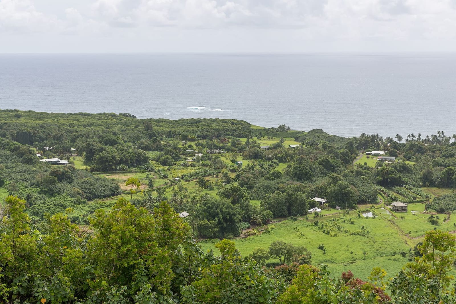 Wailua Valley on the Hāna coast: the kind of East Maui ground the rainforest landings use