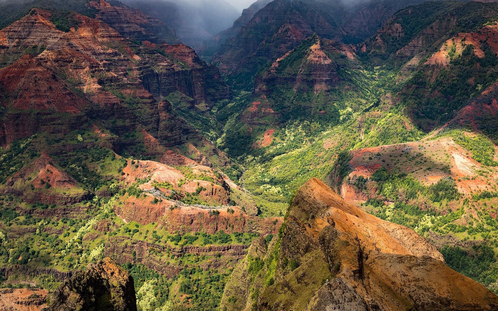 Waimea Canyon, Kauaʻi: a state park with rim lookouts, but the far walls are an aerial view